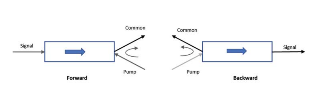 1700452510153863.png 1700452465431.png